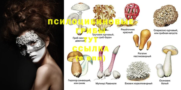 каннабис Арсеньев