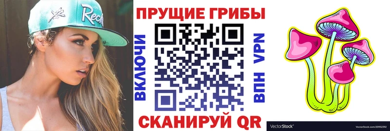 hydra ONION Асбест Галлюциногенные грибы мицелий